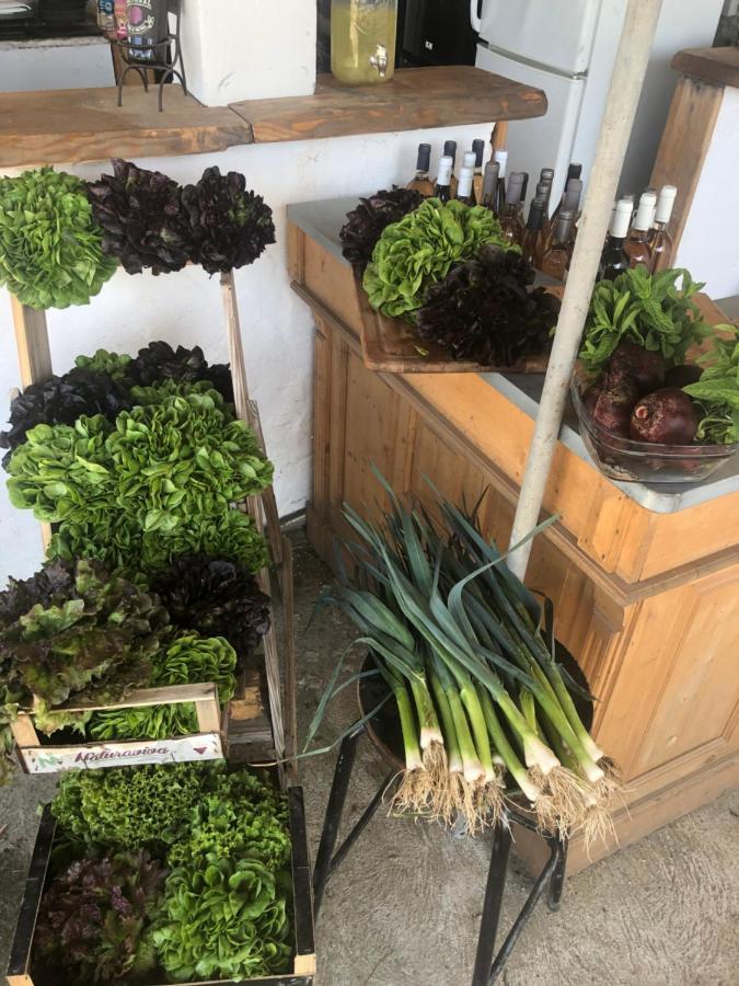 阿勒里亚 La Ferme De Rotani酒店 外观 照片